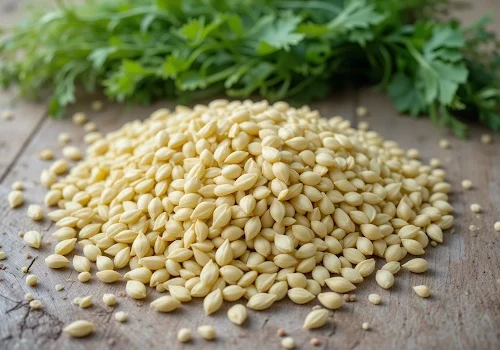 Fennel Seeds - A Delicious Addition to Any Meal